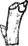 ''
