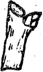 ''